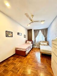 Holland Grove Road (D10), Terrace #569256261